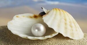 pearl gemstone